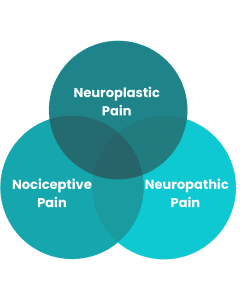 diagram showing venn diagram of pain types and intersection